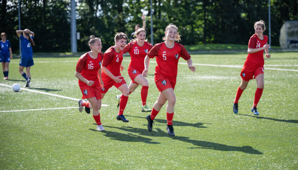 球队的整体 球队的整体